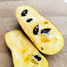 Asiminier 'Halvin'