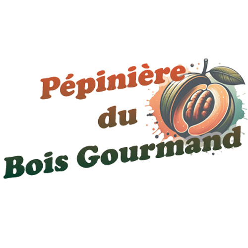 Carte cadeau La pépinière du Bois Gourmand