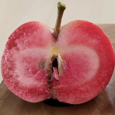 Pommier 'Sugar ball'