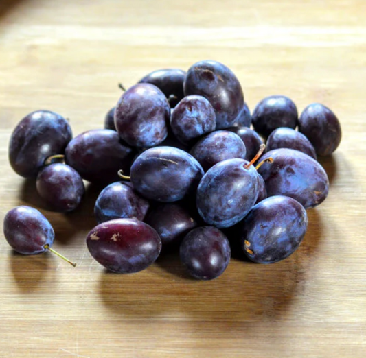 Prunier Datil