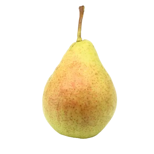 Poirier 'Julienne'