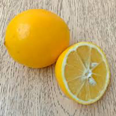 Citron Meyer