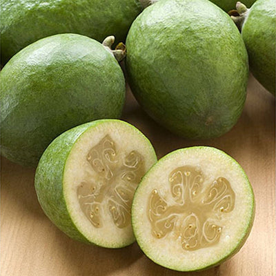 Feijoa Unique