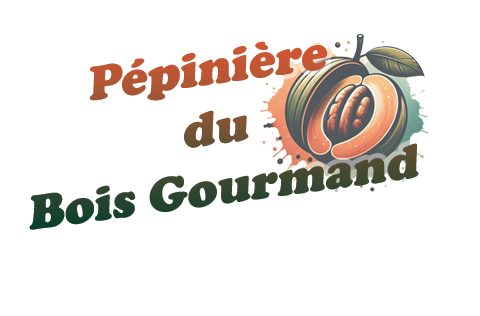 Pépinière du bois gourmand