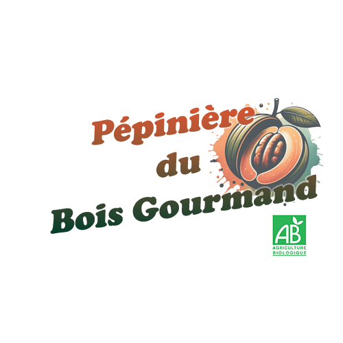 Pépinière du bois gourmand